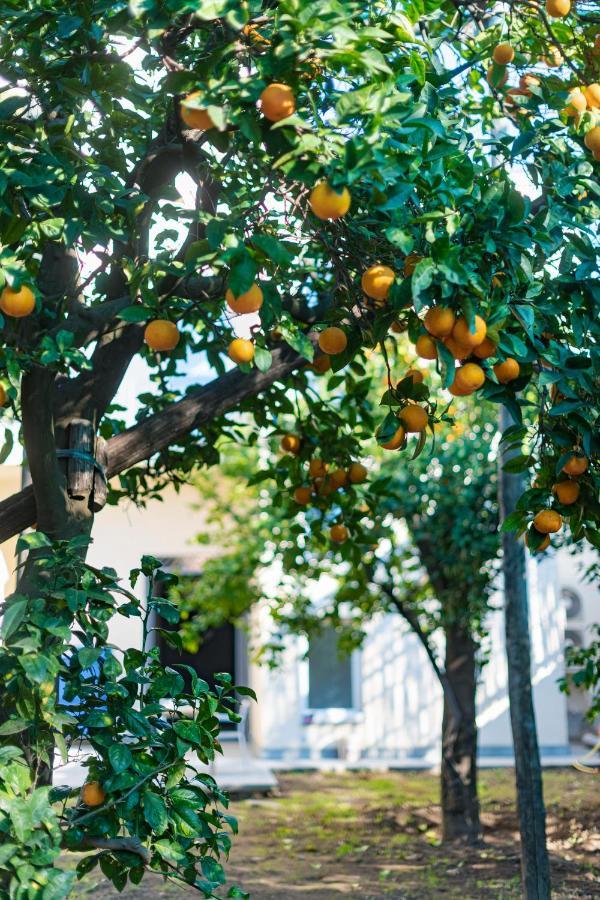 Pane E Marmellata Otel Sant'Agnello Dış mekan fotoğraf