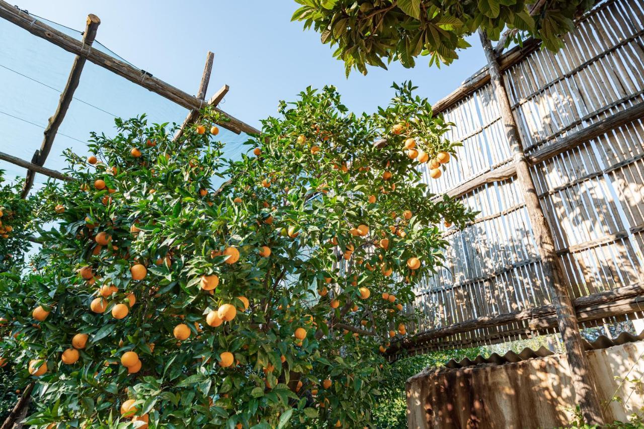 Pane E Marmellata Otel Sant'Agnello Dış mekan fotoğraf