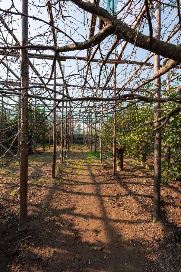 Pane E Marmellata Otel Sant'Agnello Dış mekan fotoğraf