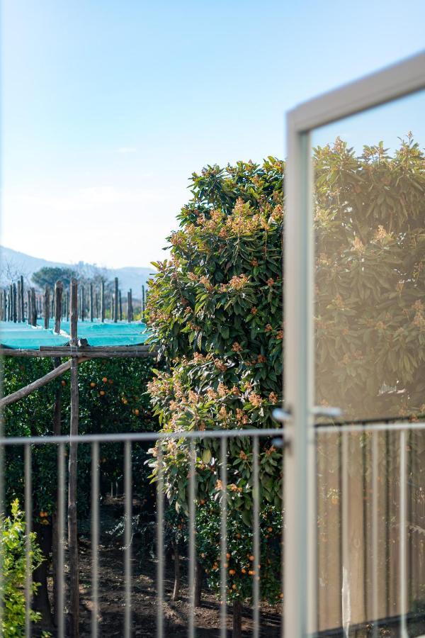 Pane E Marmellata Otel Sant'Agnello Dış mekan fotoğraf